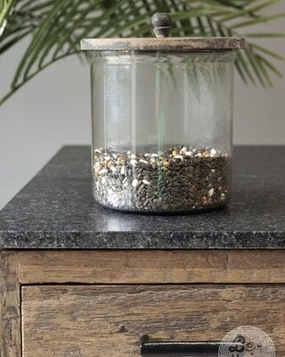 Be-Uniq Glazen Voorraad Pot | H25 x D19 cm