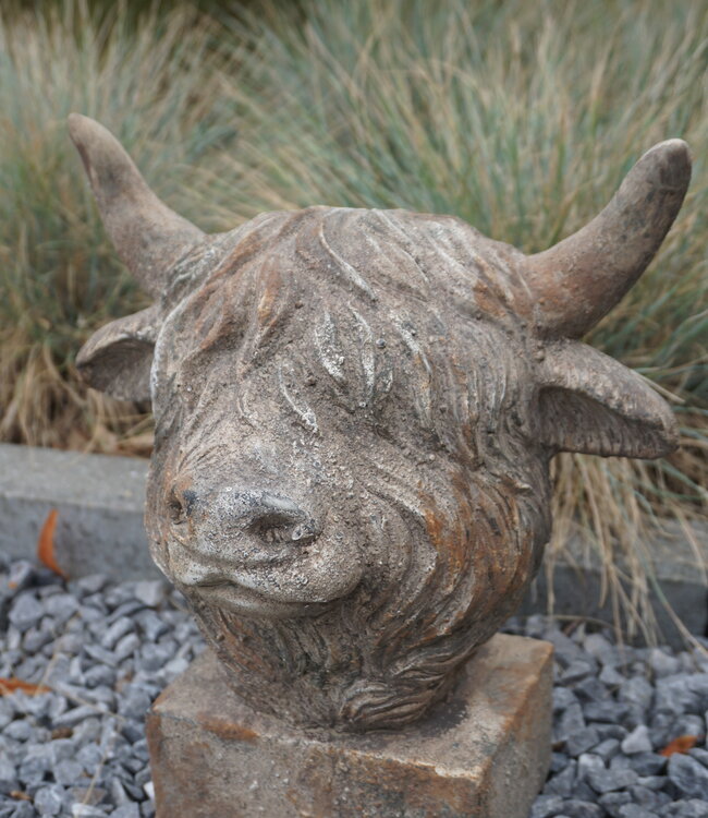 Rene Houtman Schotse Hooglander Kop Op Voet Grijs/Taupe - 2 Maten