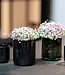 DutZ Kaarsenglas Cup | H13 x D11 cm | Kies Kleur!