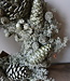 Rene Houtman Krans | Exotica Mix | Donkergroen | D20 cm