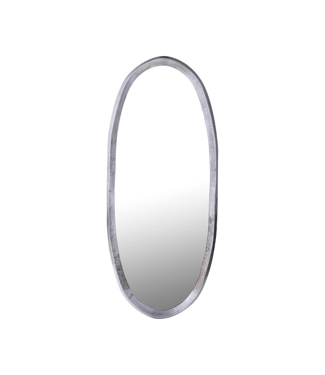 PTMD Limera Spiegel | S | Nikkel Aluminium | H120 x B50 cm