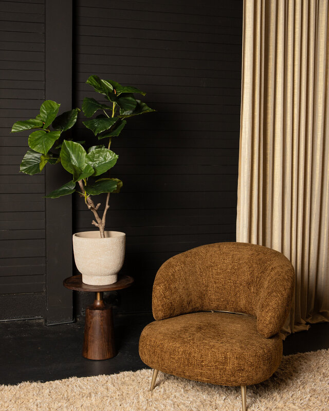 PTMD Boom Groene ficusboom in pot L