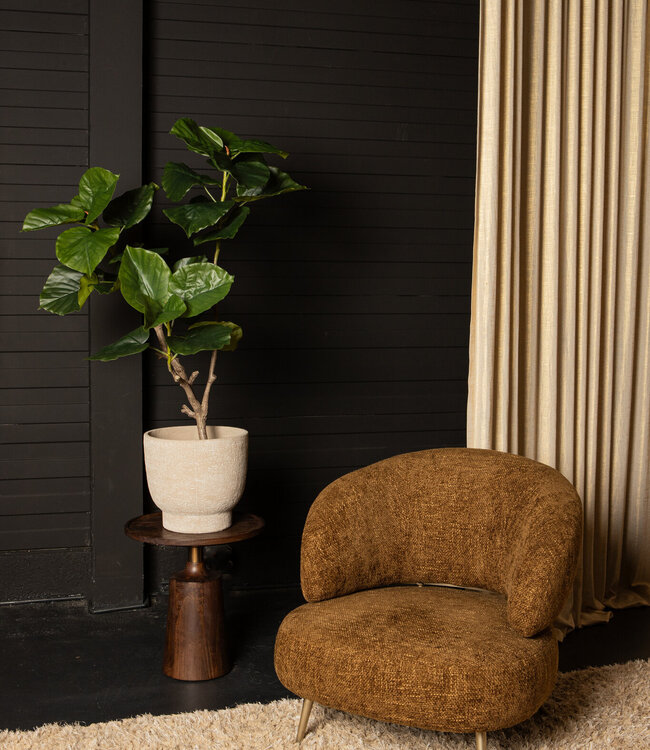 PTMD Boom Groene ficusboom in pot L