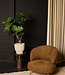 PTMD Boom Groene ficusboom in pot L