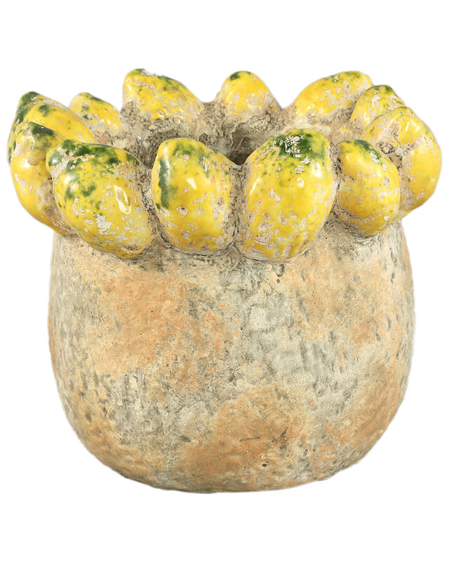 PTMD Fruitige gele ronde terrapot citroenenrand L.
