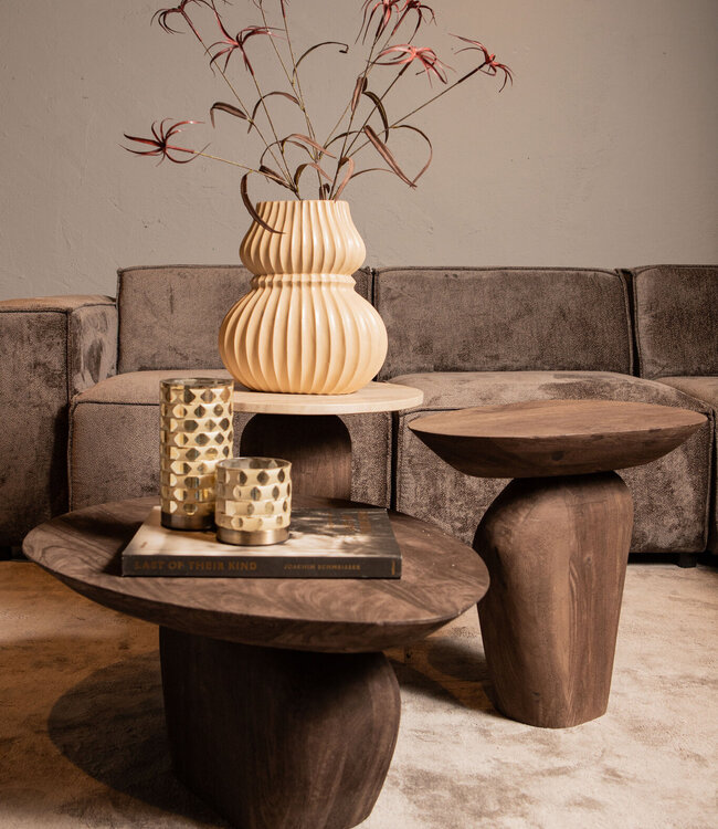 PTMD Harshad Salontafel van Rijk Bruin Mangohout – 60 x 35 x 70 cm