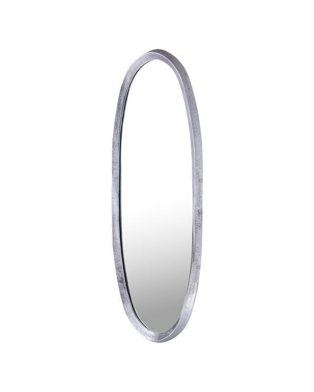 PTMD Limera Spiegel | S | Nikkel Aluminium | H120 x B50 cm