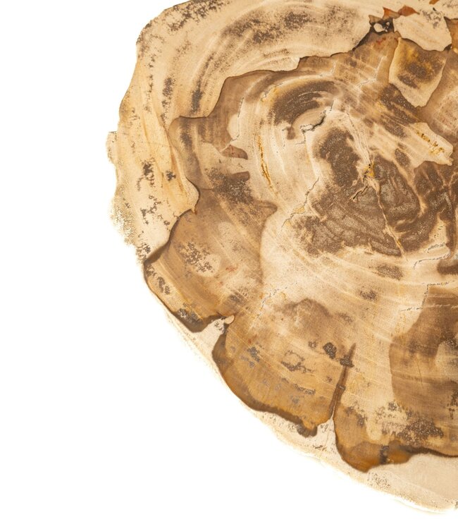 PTMD Jisse Natuurlijke versteend houten bijzettafel met gedraaide voet.