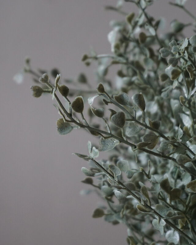 Brynxz Kunstbloem Senecio | Grijs | H36 cm