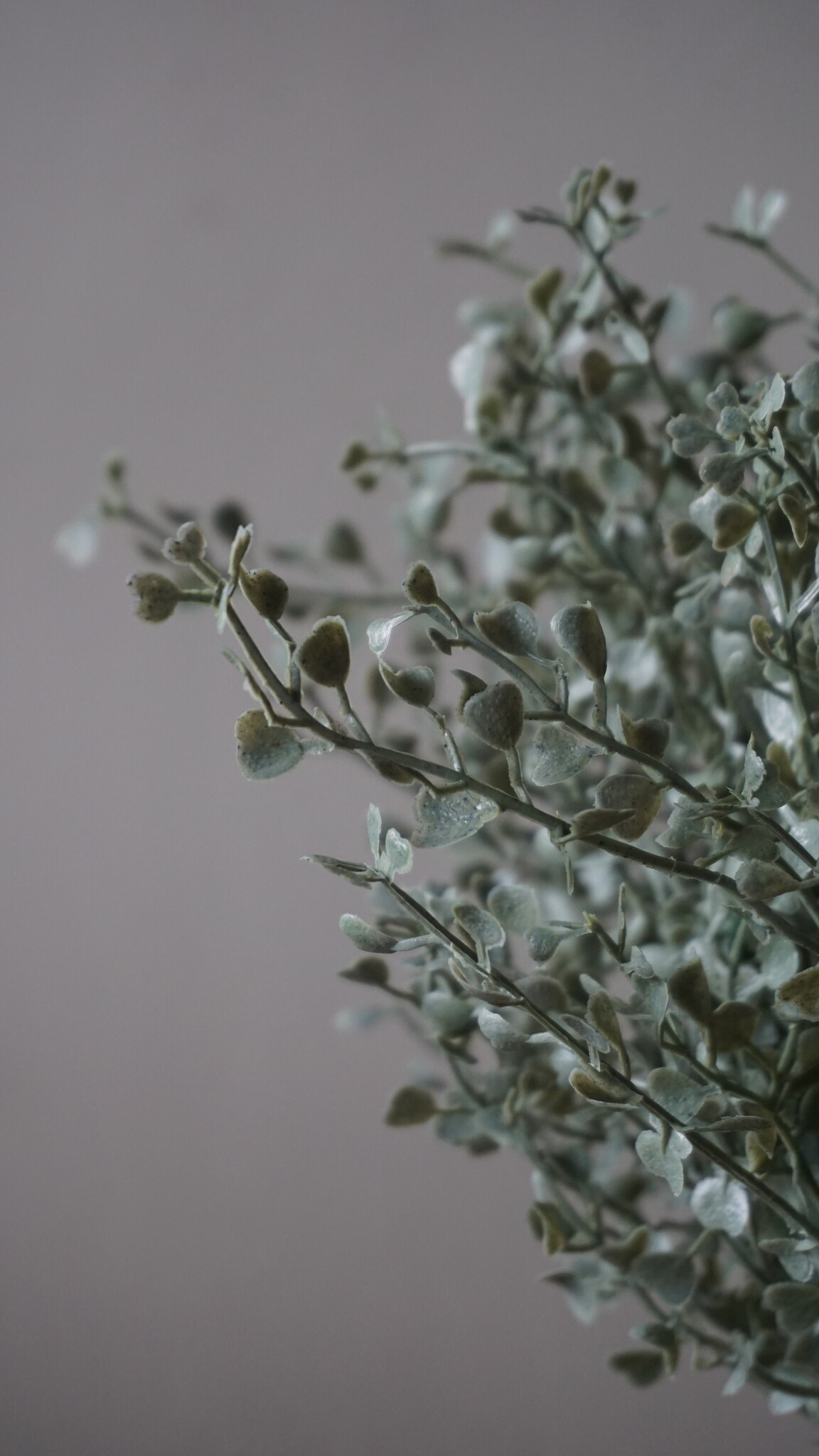 Brynxz Kunstbloem Senecio | Grijs | H36 cm