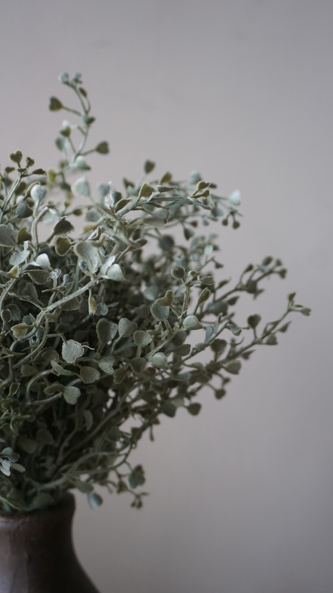 Brynxz Kunstbloem Senecio | Grijs | H36 cm