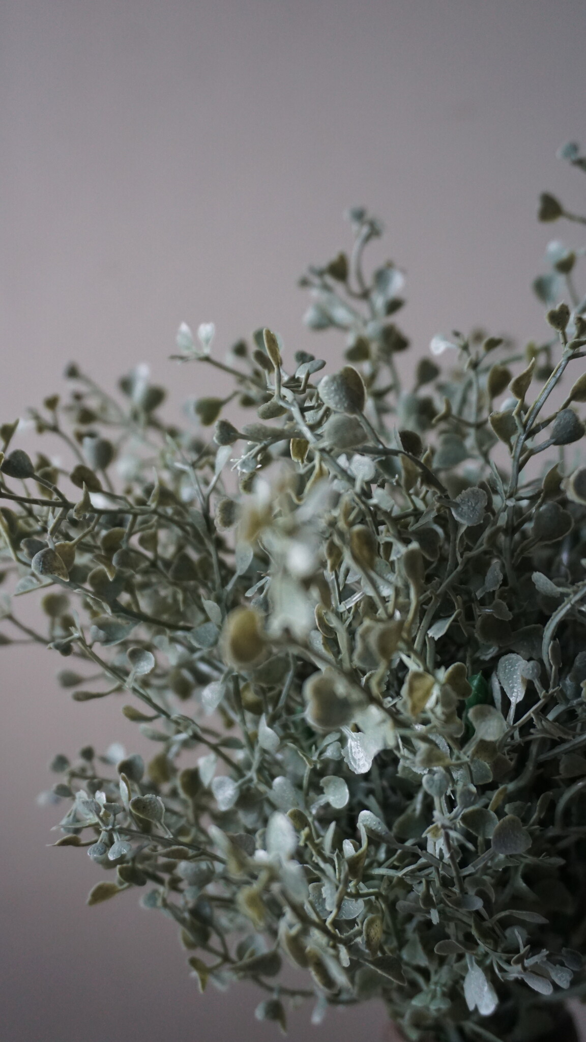 Brynxz Kunstbloem Senecio | Grijs | H36 cm