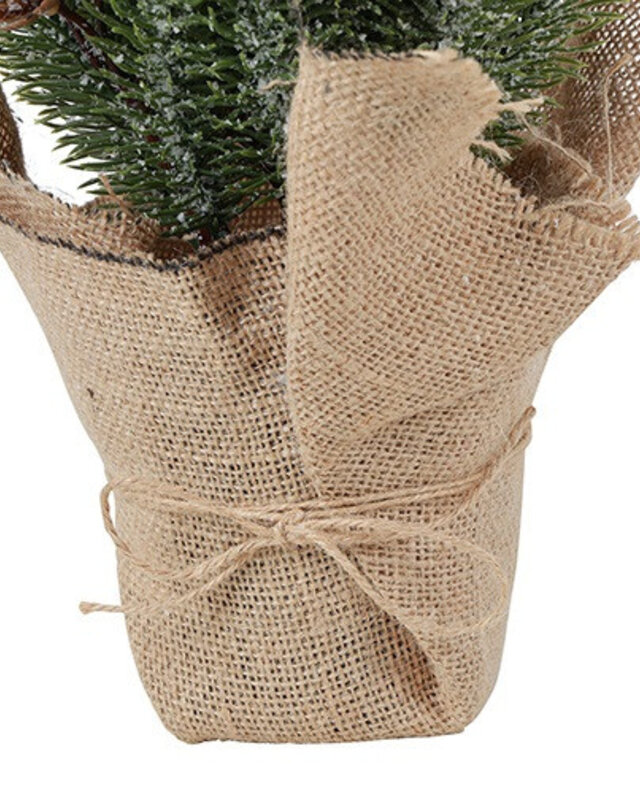 Rene Houtman Kerstboom Sneeuw Abia Glauca Groen-14x14x51CM