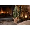 Kerstboom Sneeuw Abia Glauca Groen-14x14x51CM