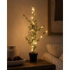 Kerstboom Larix Groen - 2 Maten