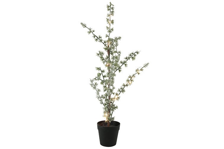 Rene Houtman Kerstboom Larix Groen - 2 Maten