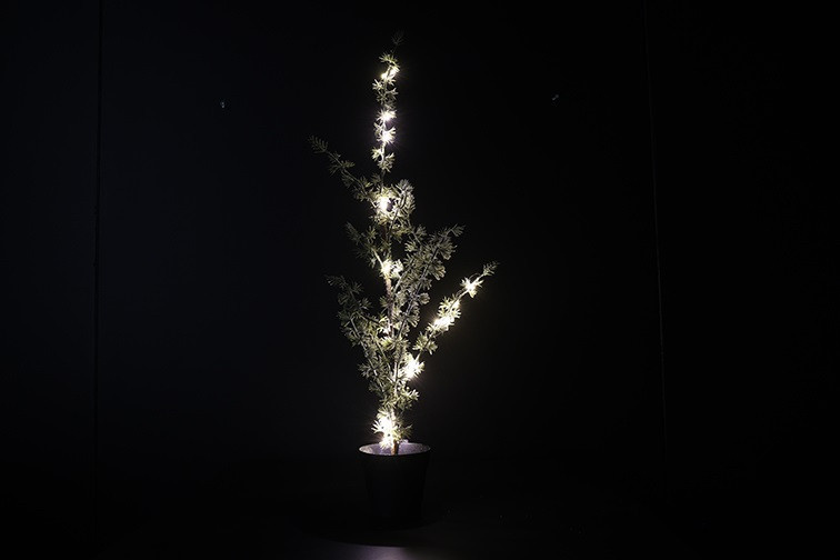Rene Houtman Kerstboom Larix Groen - 2 Maten