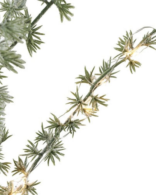 Rene Houtman Kerstboom Larix Groen - 2 Maten