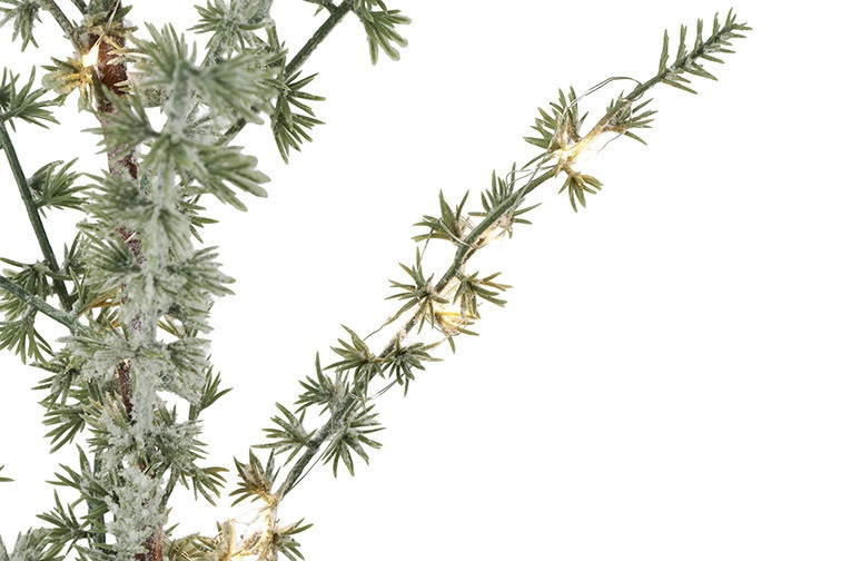 Rene Houtman Kerstboom Larix Groen - 2 Maten