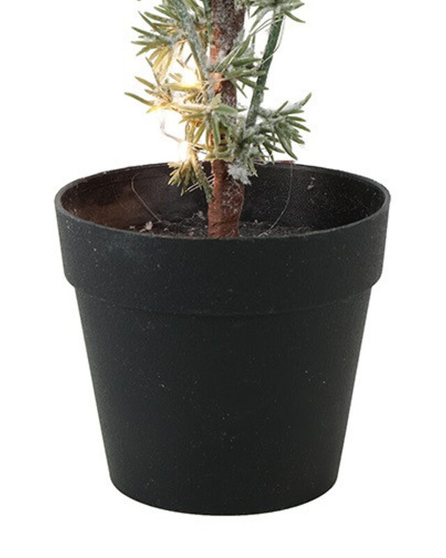 Rene Houtman Kerstboom Larix Groen - 2 Maten