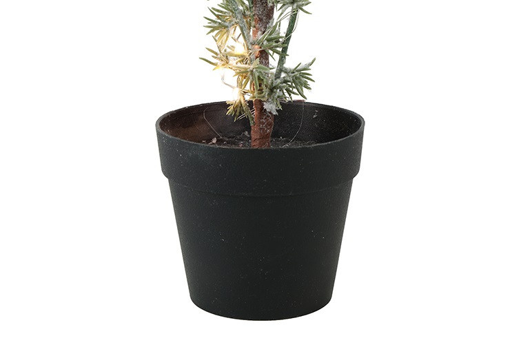 Rene Houtman Kerstboom Larix Groen - 2 Maten