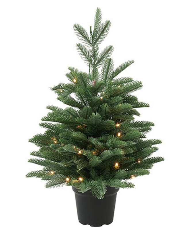 Rene Houtman LED Kerstboom Abia Nordmanniana Glauca - 2 Maten