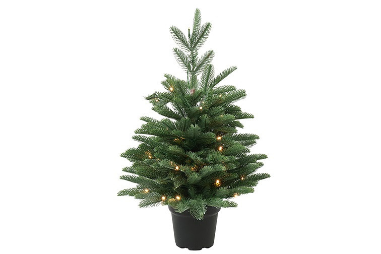 Rene Houtman LED Kerstboom Abia Nordmanniana Glauca - 2 Maten
