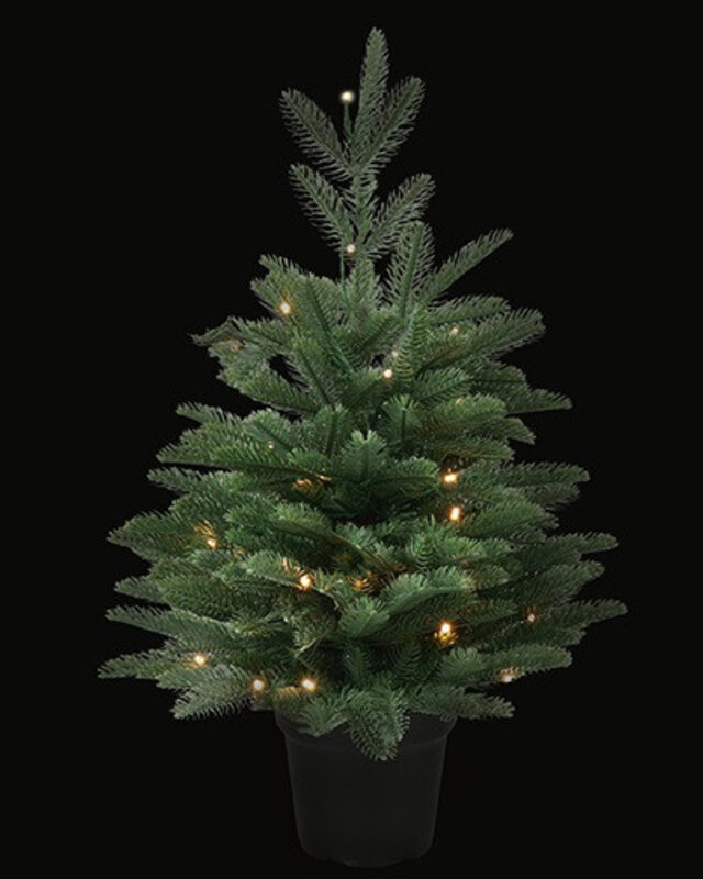 Rene Houtman LED Kerstboom Abia Nordmanniana Glauca - 2 Maten