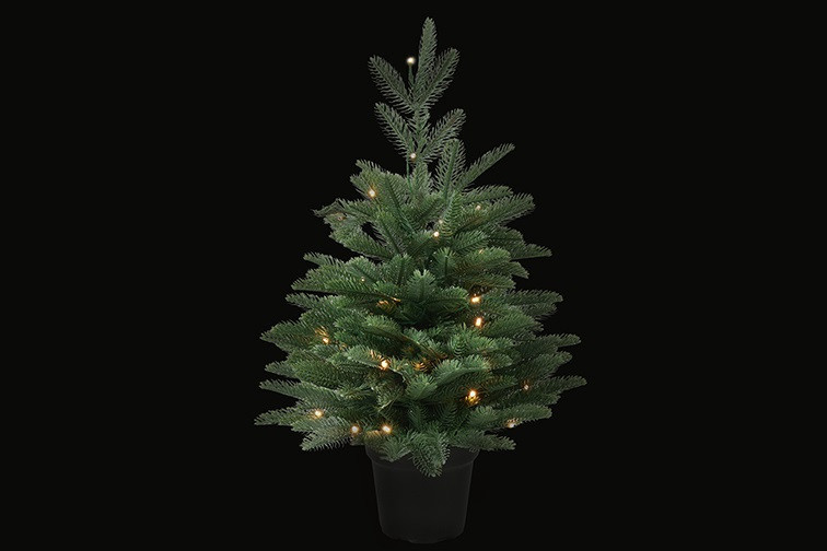 Rene Houtman LED Kerstboom Abia Nordmanniana Glauca - 2 Maten