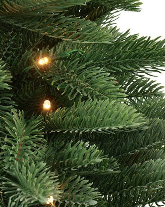 Rene Houtman LED Kerstboom Abia Nordmanniana Glauca - 2 Maten