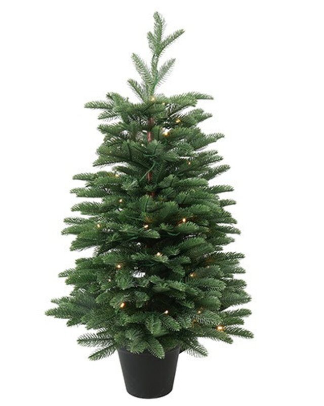 Rene Houtman LED Kerstboom Abia Nordmanniana Glauca - 2 Maten