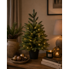 LED Kerstboom Abia Nordmanniana Glauca - 2 Maten
