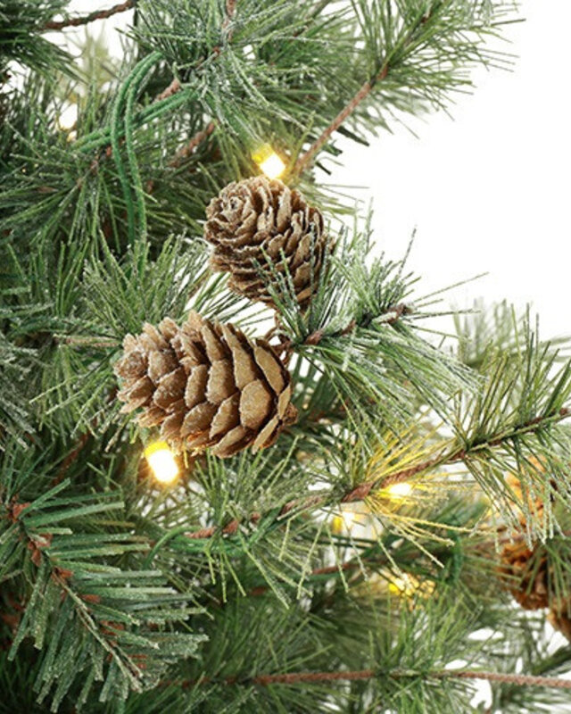 Rene Houtman LED Kerstboom Op Stam Abia Concolor Groen/Sneeuw - 3 Maten