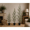 Kerstboom Laro Robusta Groen - 3 Maten