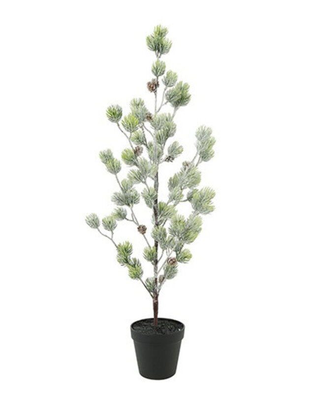 Rene Houtman Kerstboom Laro Robusta Groen - 3 Maten