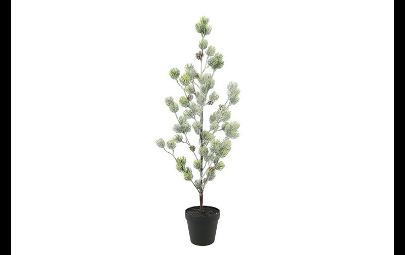 Rene Houtman Kerstboom Laro Robusta Groen - 3 Maten
