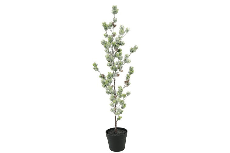 Rene Houtman Kerstboom Laro Robusta Groen - 3 Maten