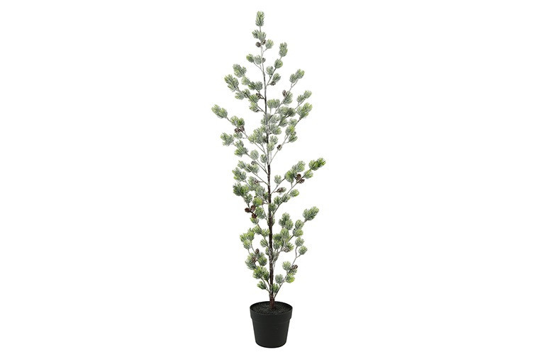 Rene Houtman Kerstboom Laro Robusta Groen - 3 Maten