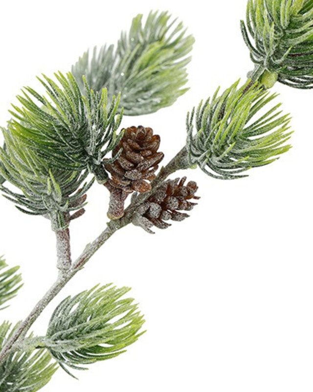Rene Houtman Kerstboom Laro Robusta Groen - 3 Maten