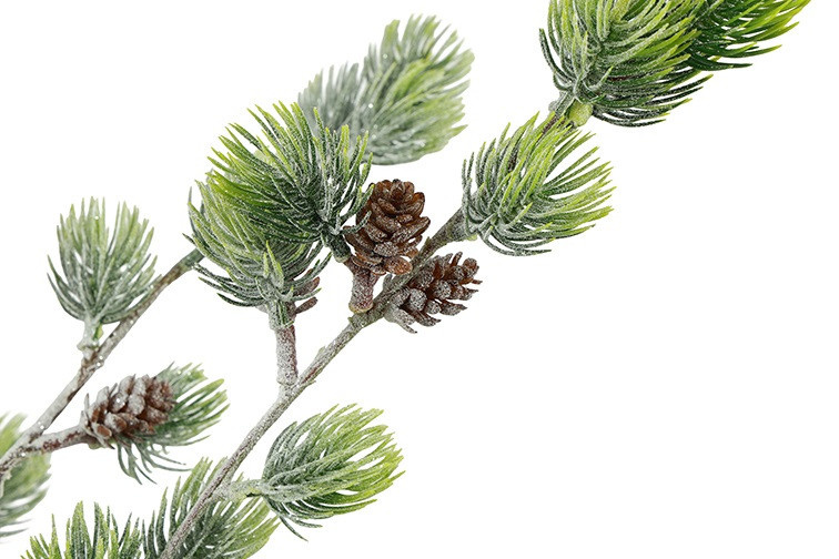 Rene Houtman Kerstboom Laro Robusta Groen - 3 Maten