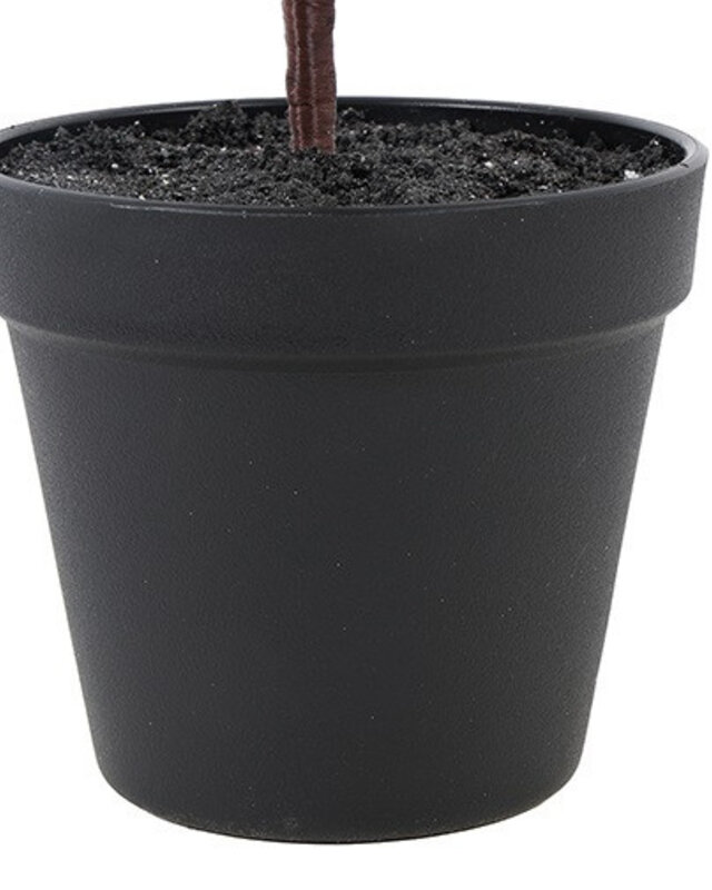 Rene Houtman Kerstboom Laro Robusta Groen - 3 Maten