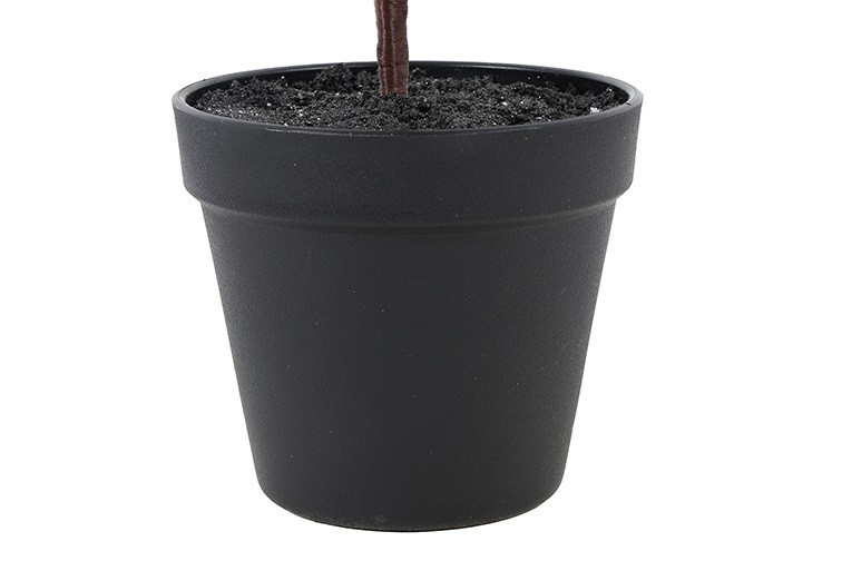 Rene Houtman Kerstboom Laro Robusta Groen - 3 Maten