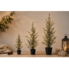 LED Kerstboom Ceder  Groen - 3 Maten