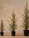 Rene Houtman LED Kerstboom Ceder  Groen - 3 Maten