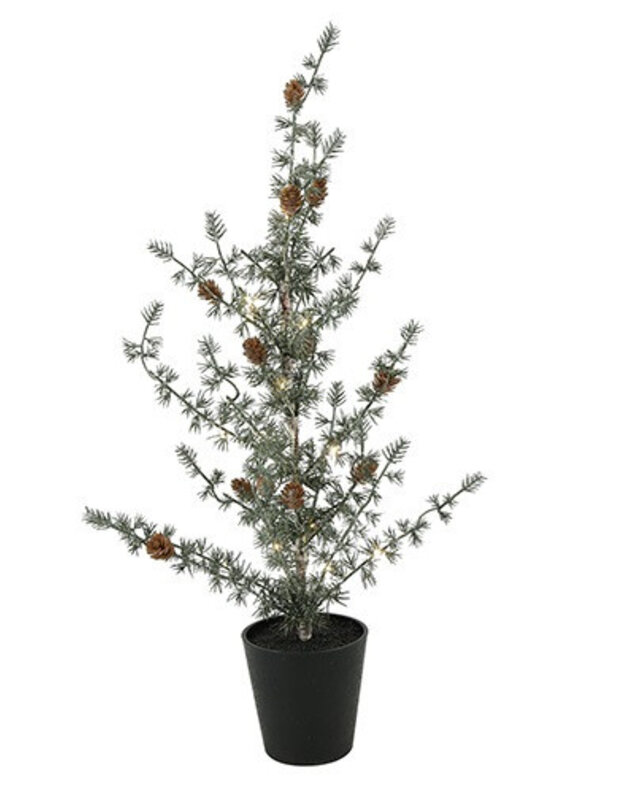 Rene Houtman LED Kerstboom Ceder Groen - 3 Maten