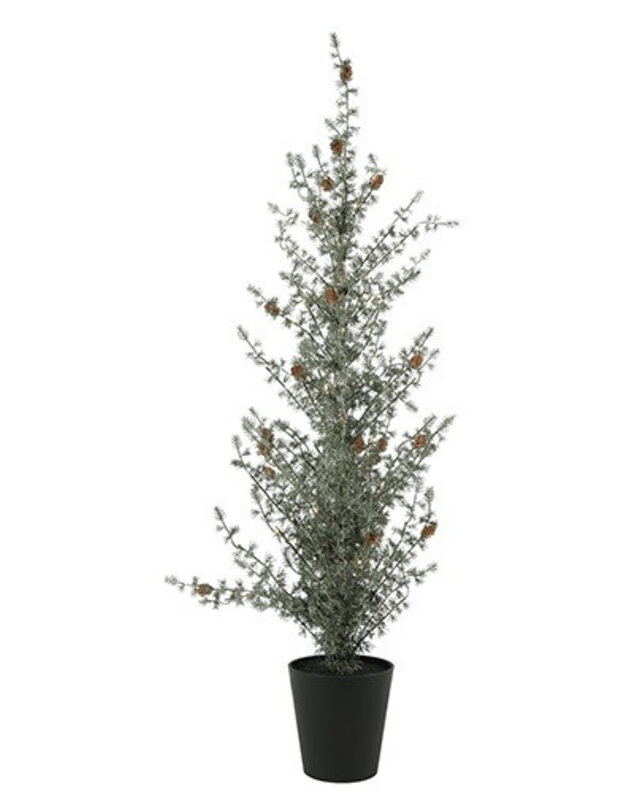 Rene Houtman LED Kerstboom Ceder Groen - 3 Maten