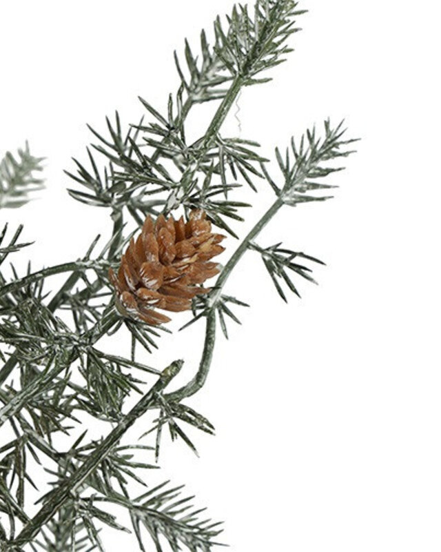 Rene Houtman LED Kerstboom Ceder Groen - 3 Maten