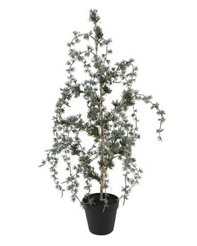 Rene Houtman LED Kerstboom Ceder Groen 12,5x11x72CM