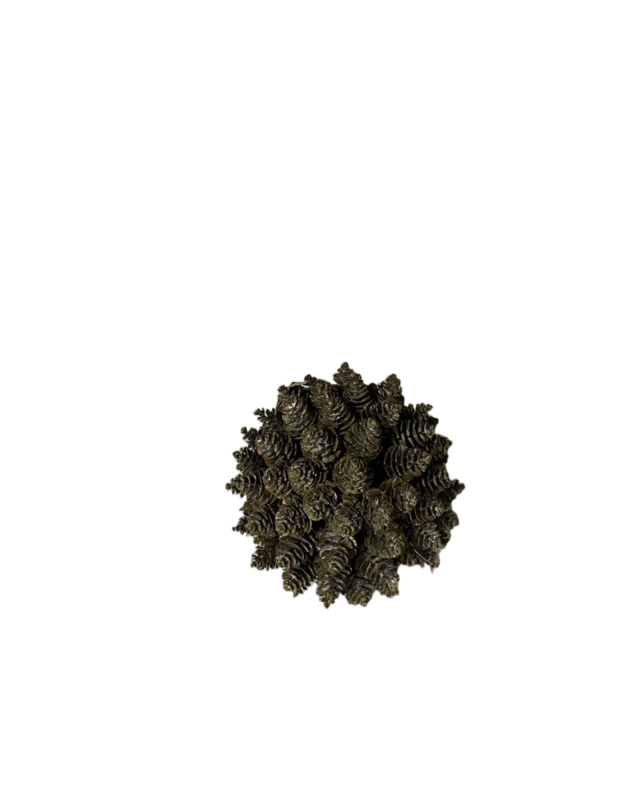 Rene Houtman Kerstdecoratie Dennenappel Bol | S | D17,5 cm