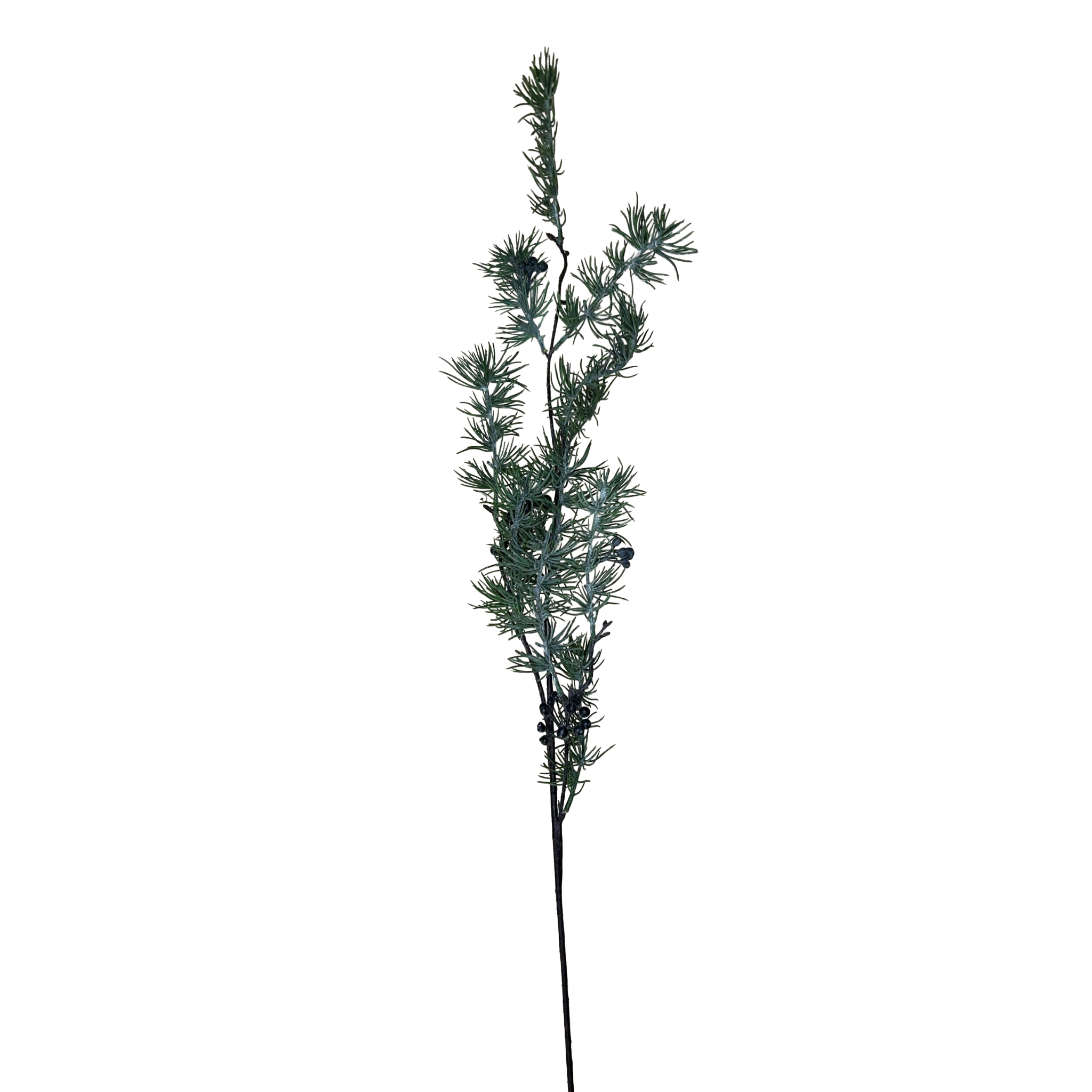 Rene Houtman Jeneverbes Kunsttak | Opvulmateriaal | 90 cm